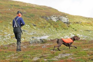 carusostar2-300x2001